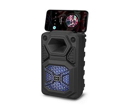 Bluetooth speaker 09