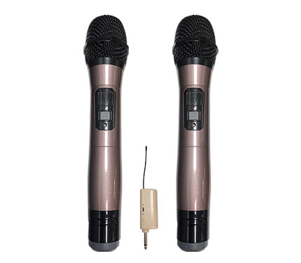 Microphone 13