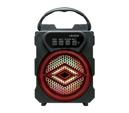 Bluetooth speaker 10