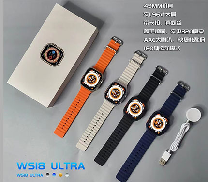 Wrist watch 02