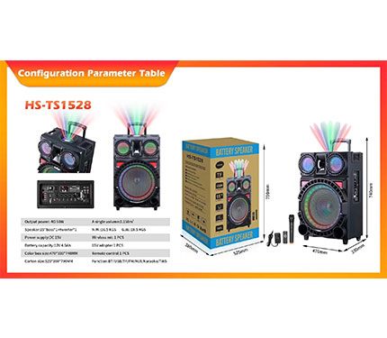 Loudspeaker box HS-TS1528
